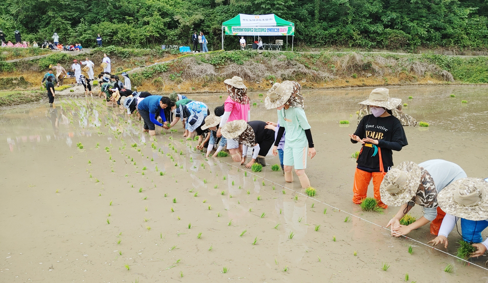 의신초등학교 이미지