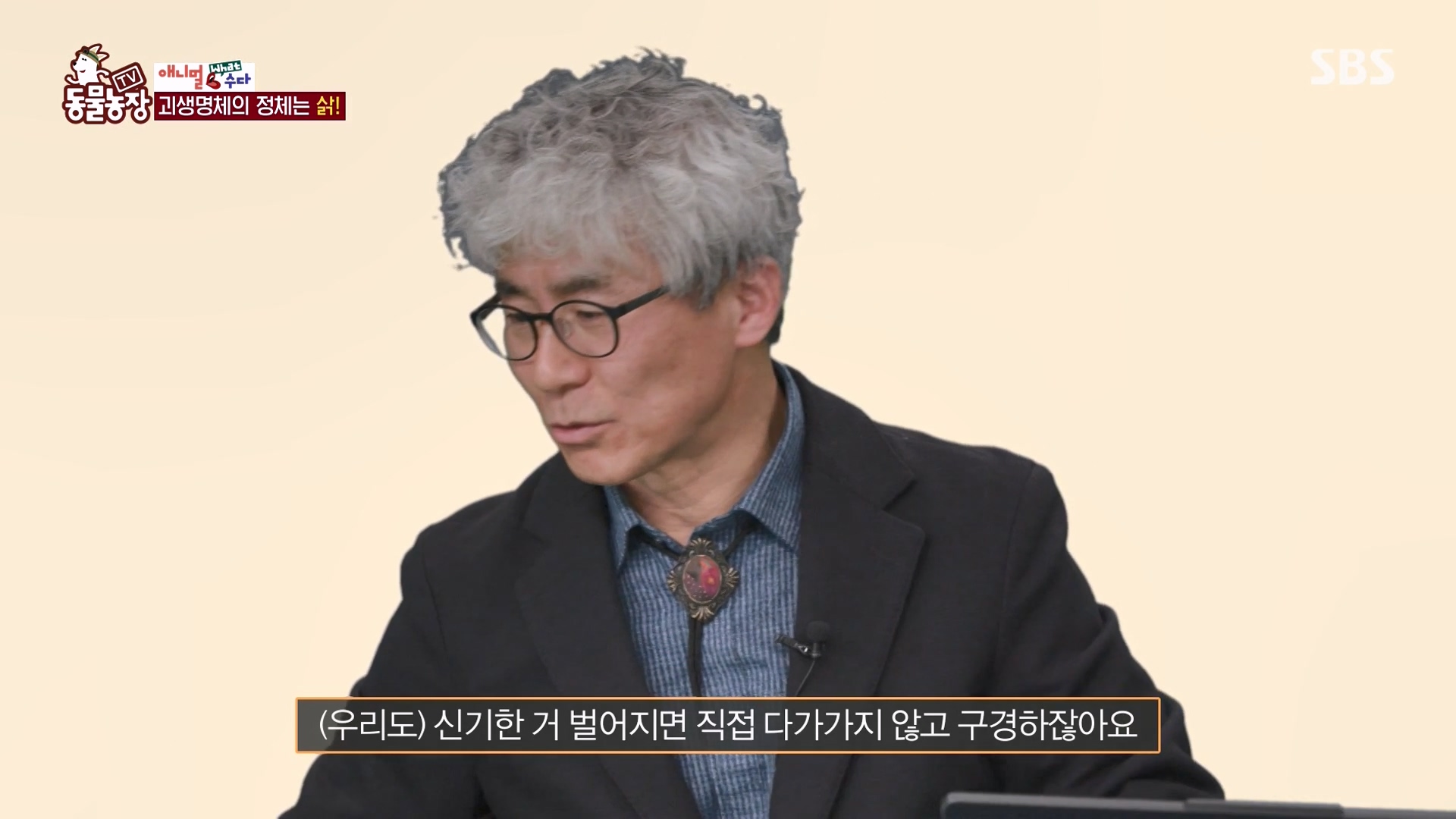 TV 동물농장.E1164.240324p-NEXT.mp4_20240324_170508.656.jpg