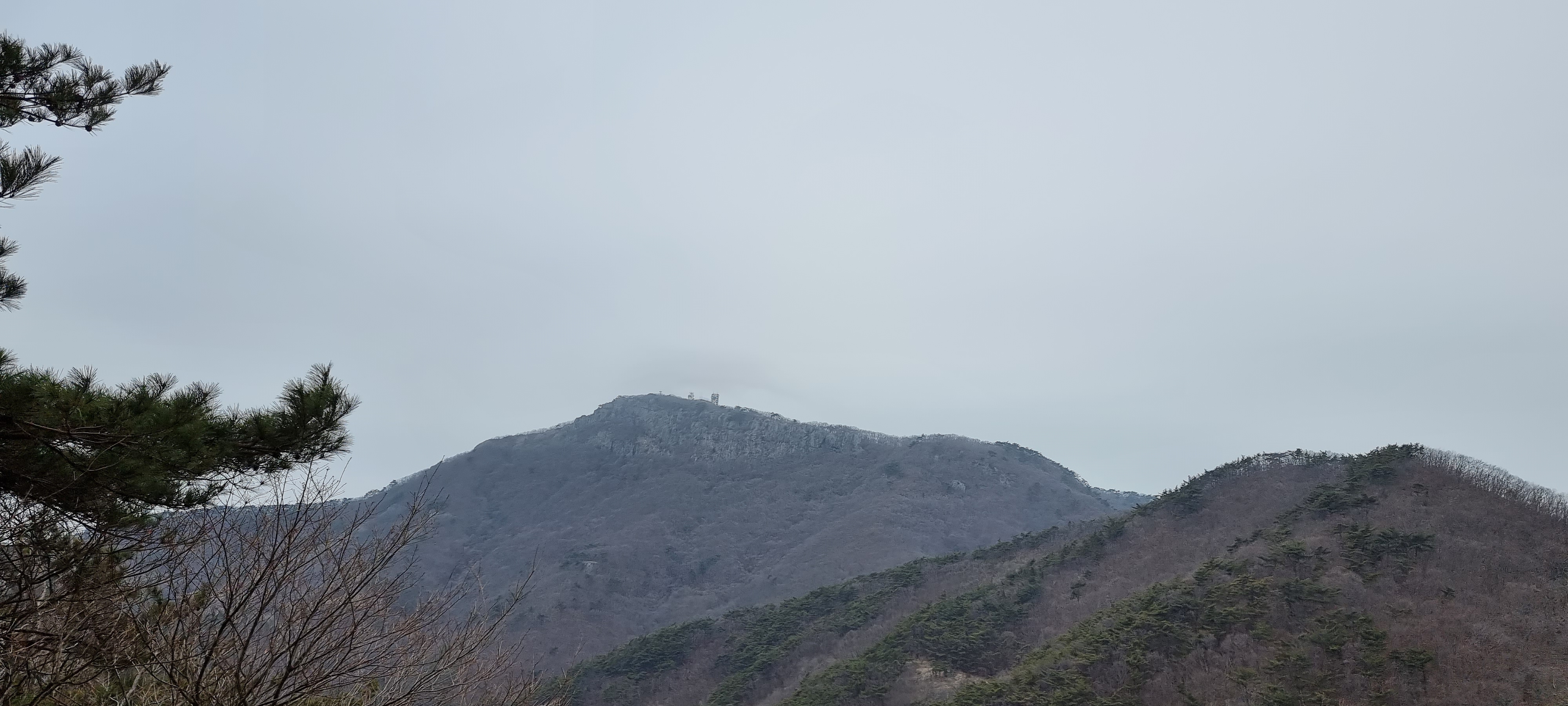 변산바람꽃 32