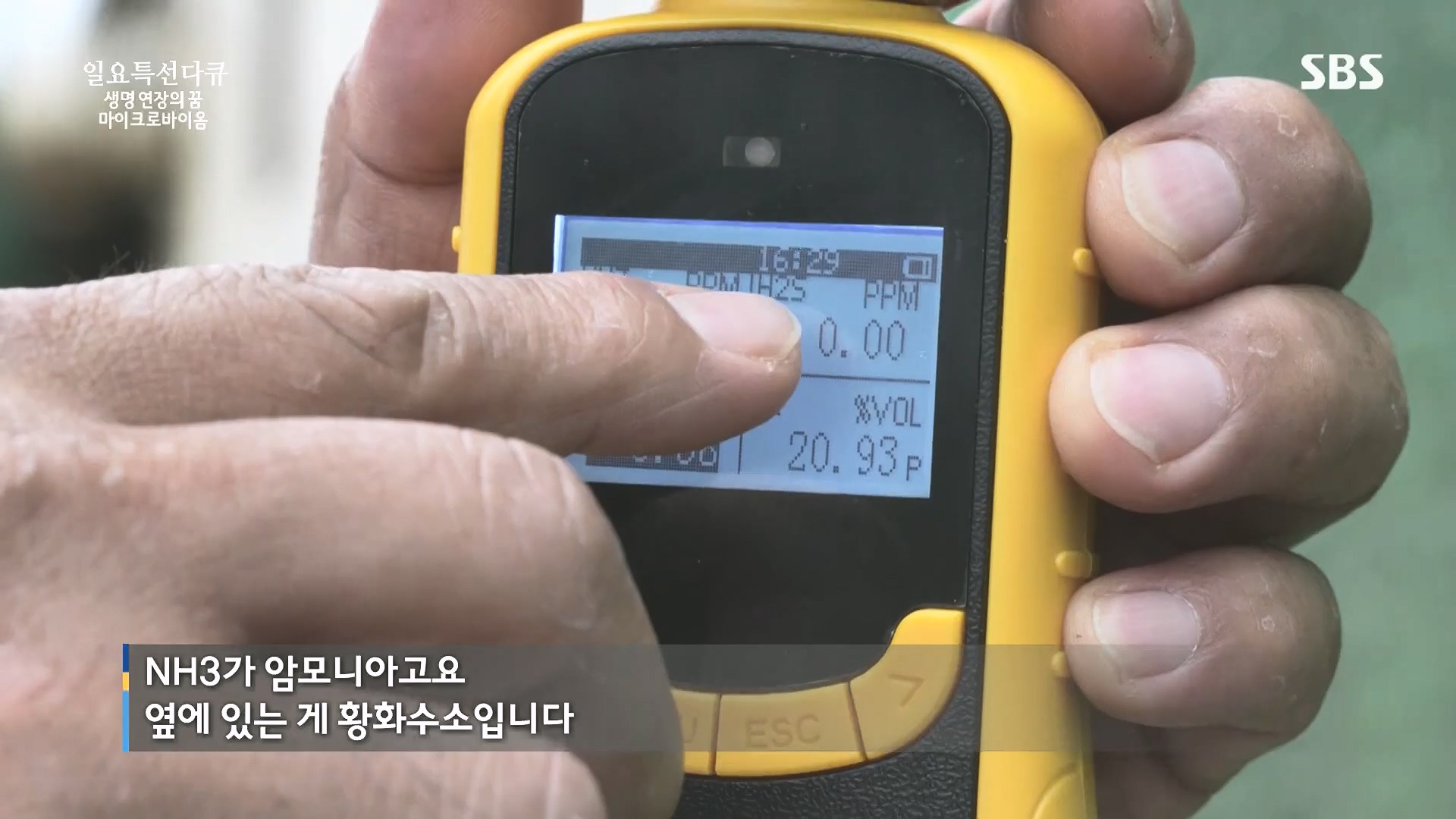 일요 특선 다큐멘터리.E318.230903p.H264-F1RST.mp4_20230907_201935.554.jpg