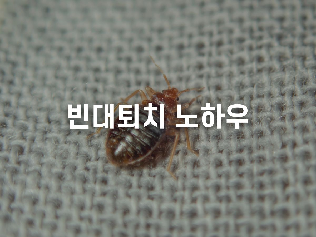 빈대퇴치 방역업체 비용, 가격비교 하는 법