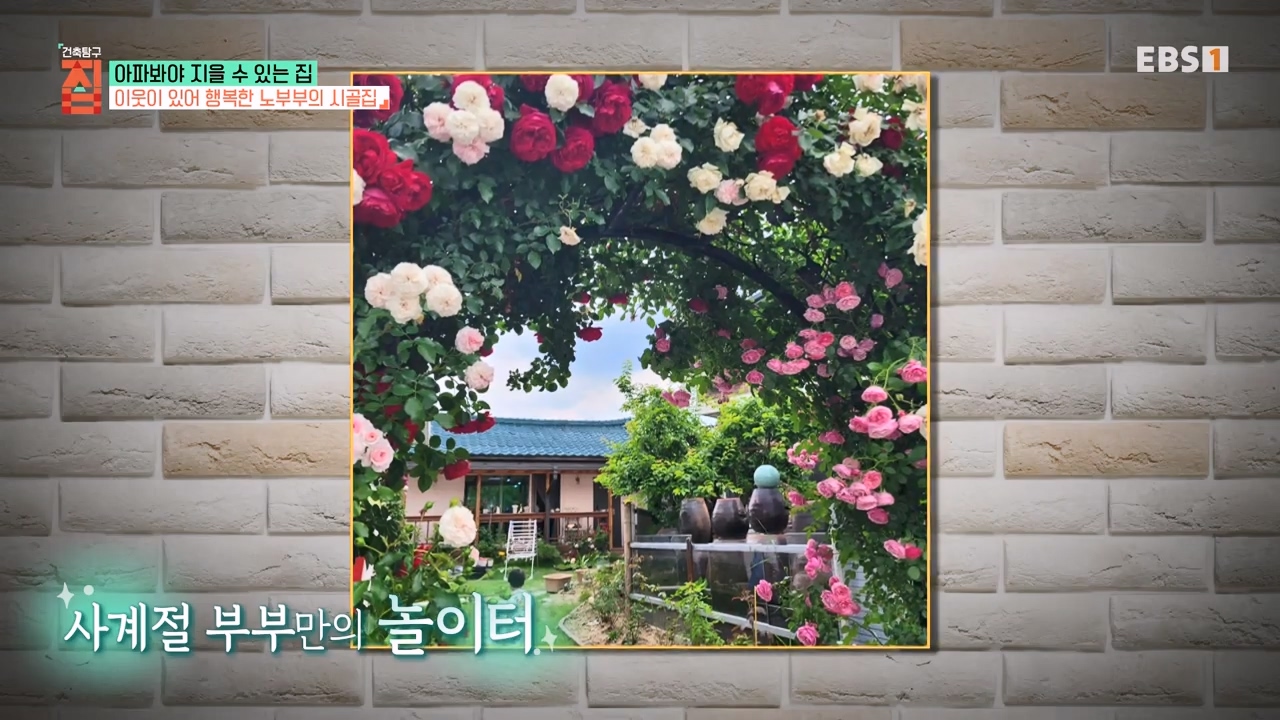 TV - 전 국민의 평생학교 EBS아파봐야 지을 수 있는 집.mp4_20230816_211038.430.jpg