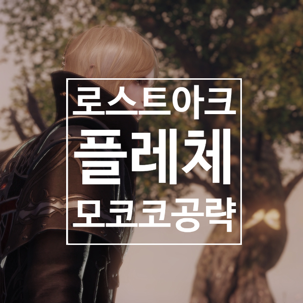  로스트아크 대륙 플레체 모코코 위치 리뷰 공략