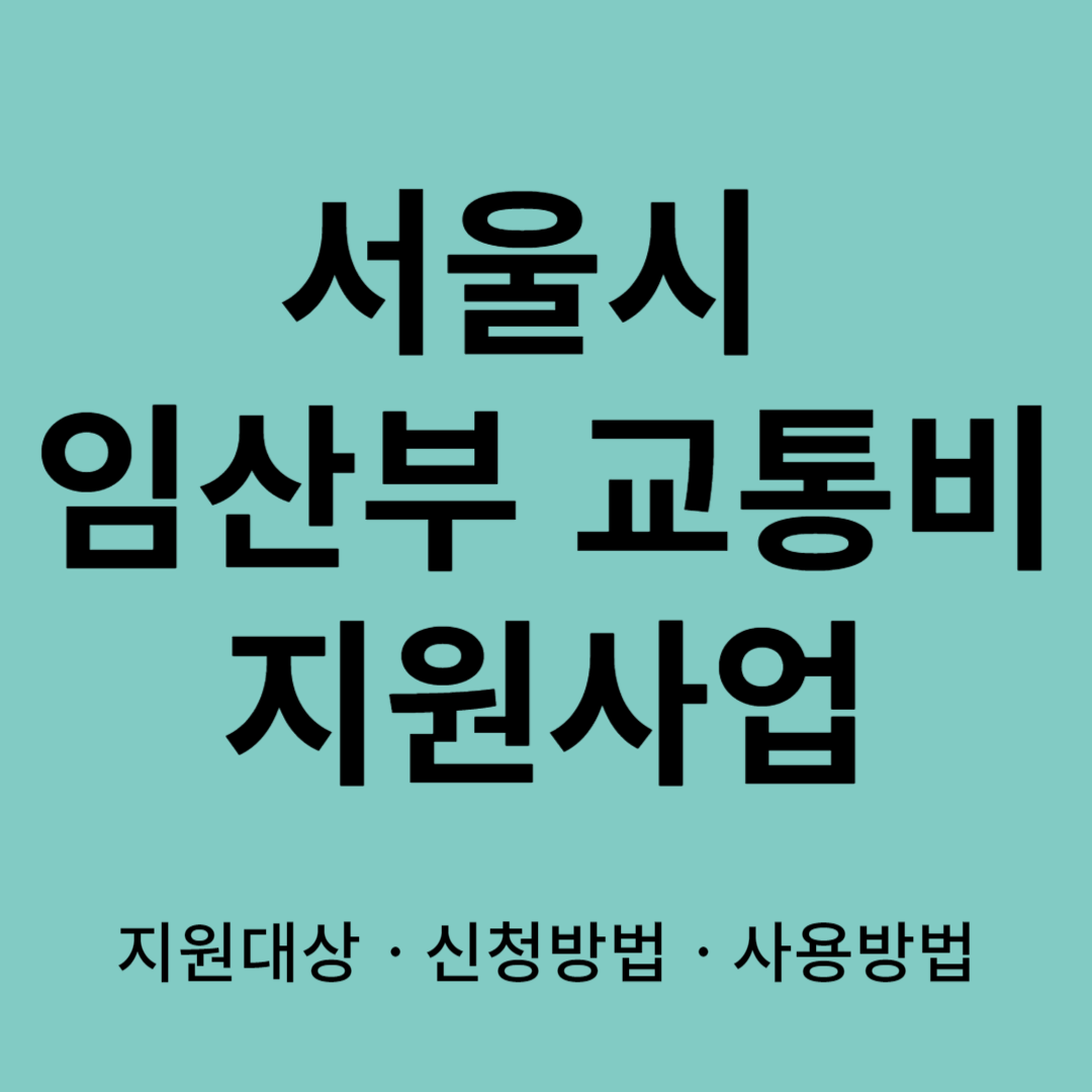 서울시임산부교통비지원사업