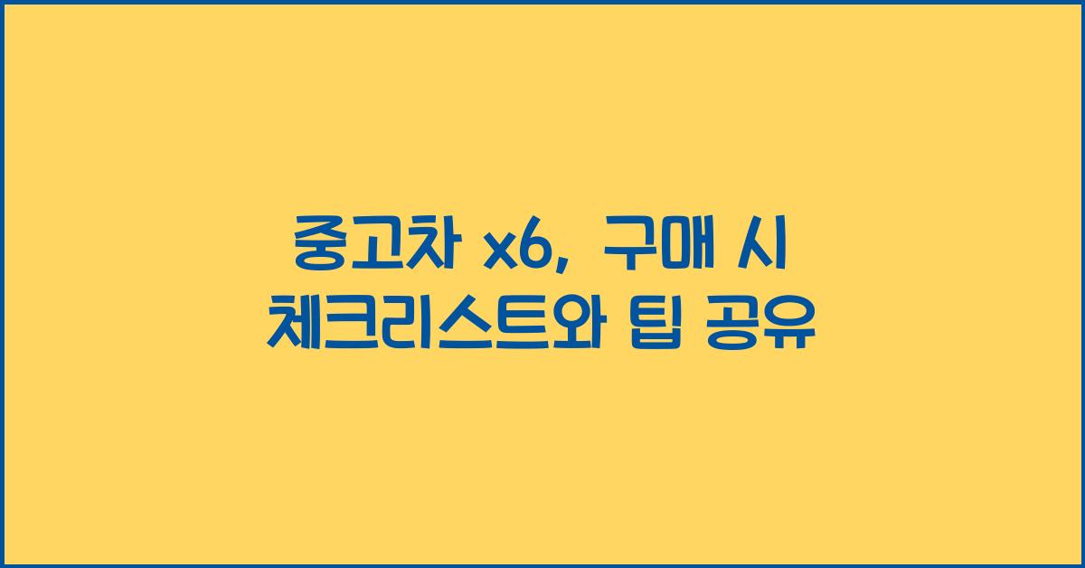 중고차 x6