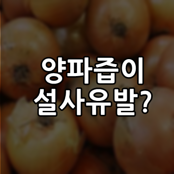  양파즙 설사를 유발한다고??혈당조절에 좋다는데