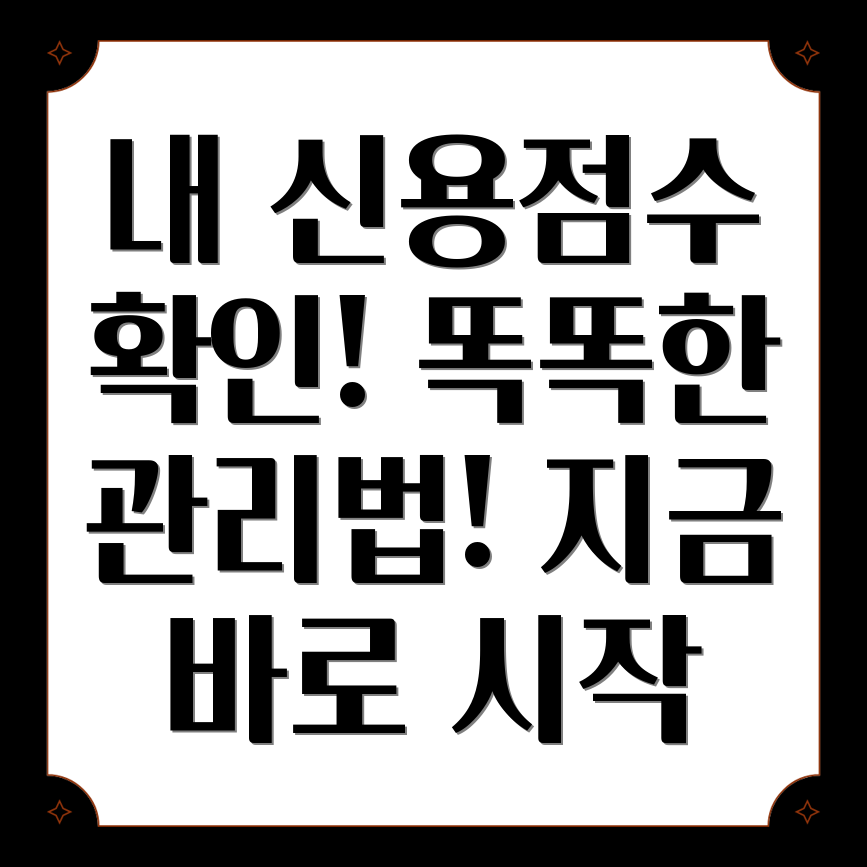 신용점수표