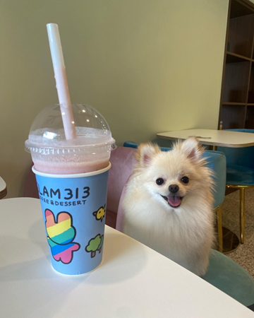 카페글램 이미지