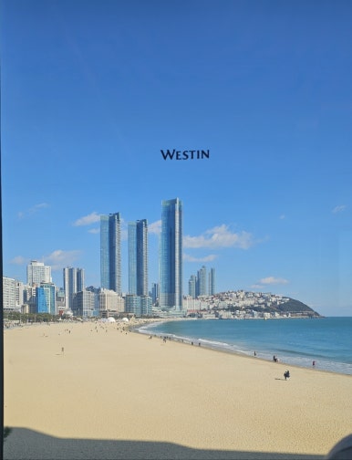 조선디저트 이미지