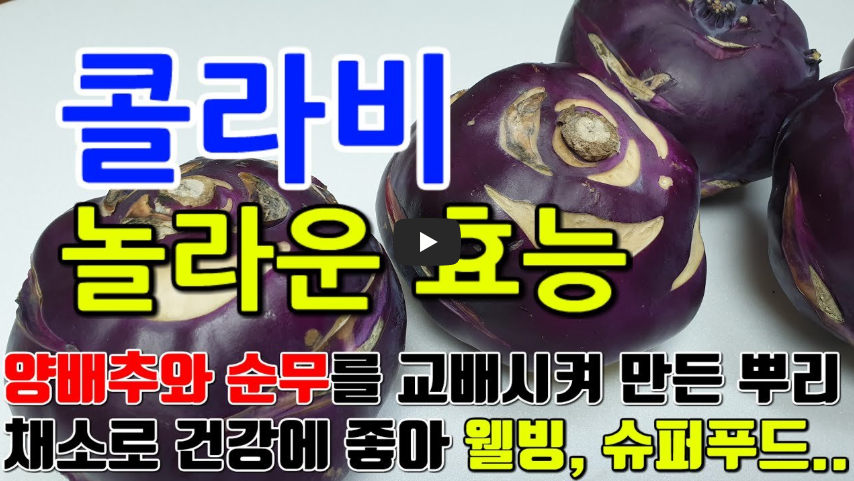 콜라비 놀라운 효능과 섭취 시 주의할 점