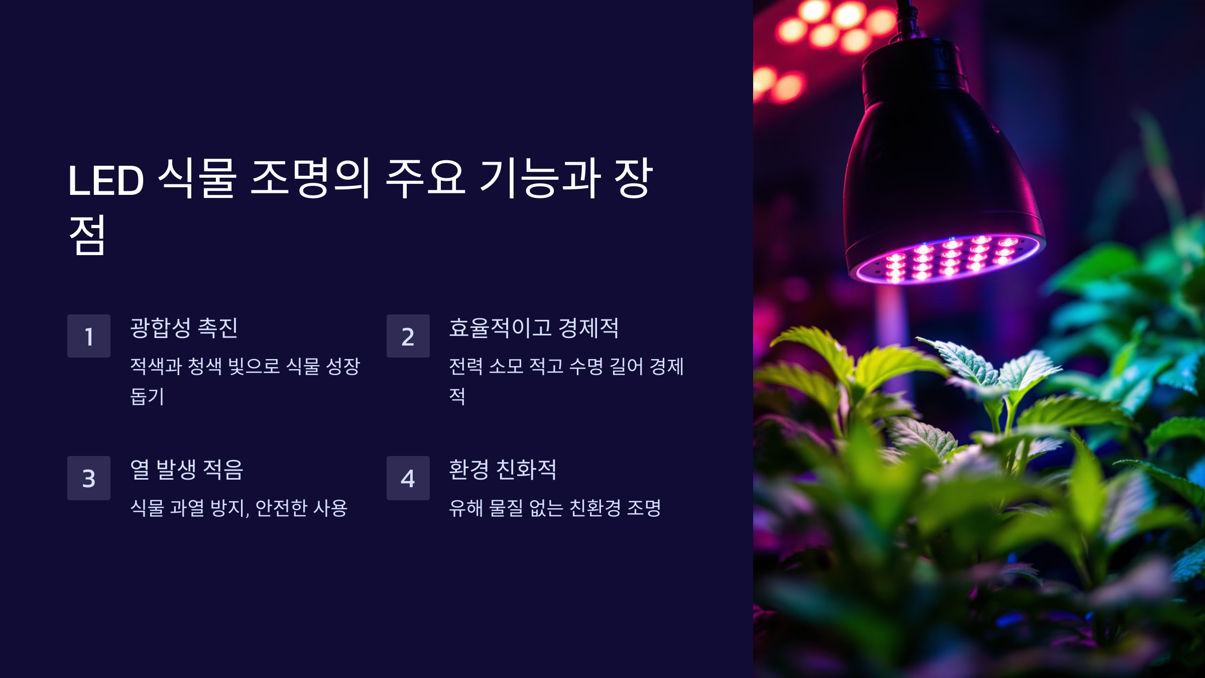 LED 식물 조명의 주요 기능과 장점