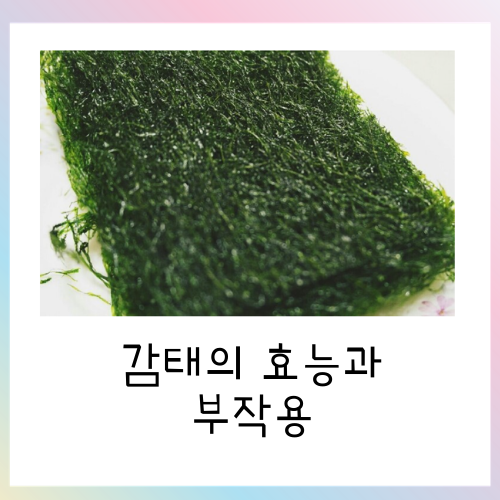  감태의 효능과 부작용에 관해서