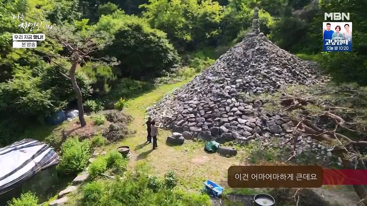 나는 자연인이다.E609.240613p-NEXT.mp4_20240613_195112.136.jpg