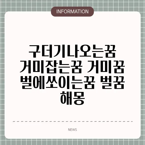구더기나오는꿈 거미잡는꿈 거미꿈 벌에쏘이는꿈 벌꿈 해몽