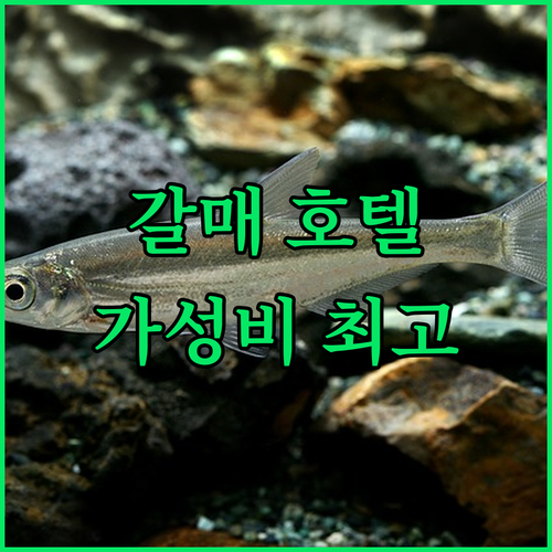 갈매 호텔 추천 깔끔하고 가성비 좋은