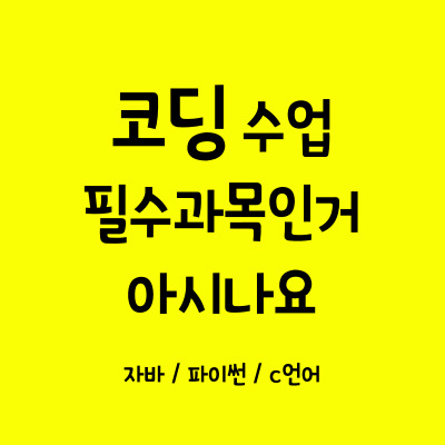  중랑구 초등 코딩과외 노원구 중등 코딩학습 자바스크립트 일대이 어린이 코딩 필수과목