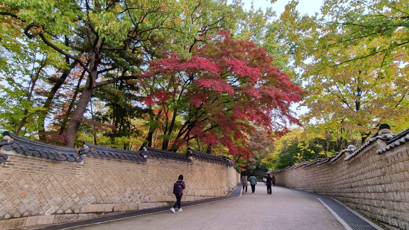 창덕궁-후원-단풍길-사진