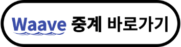Waave 월드컵 중계 바로가기
