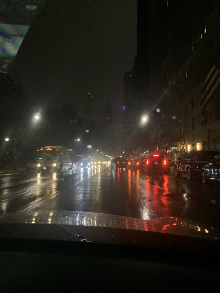 비오는 맨해튼