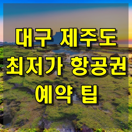 대구에서 제주도로 가는 최저가 항공권 예약 팁