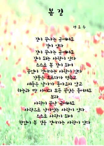봄 시 모음 이해인 나태주 명시 모음_17
