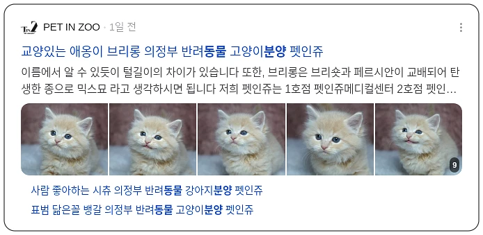 동물분양_3_subsection