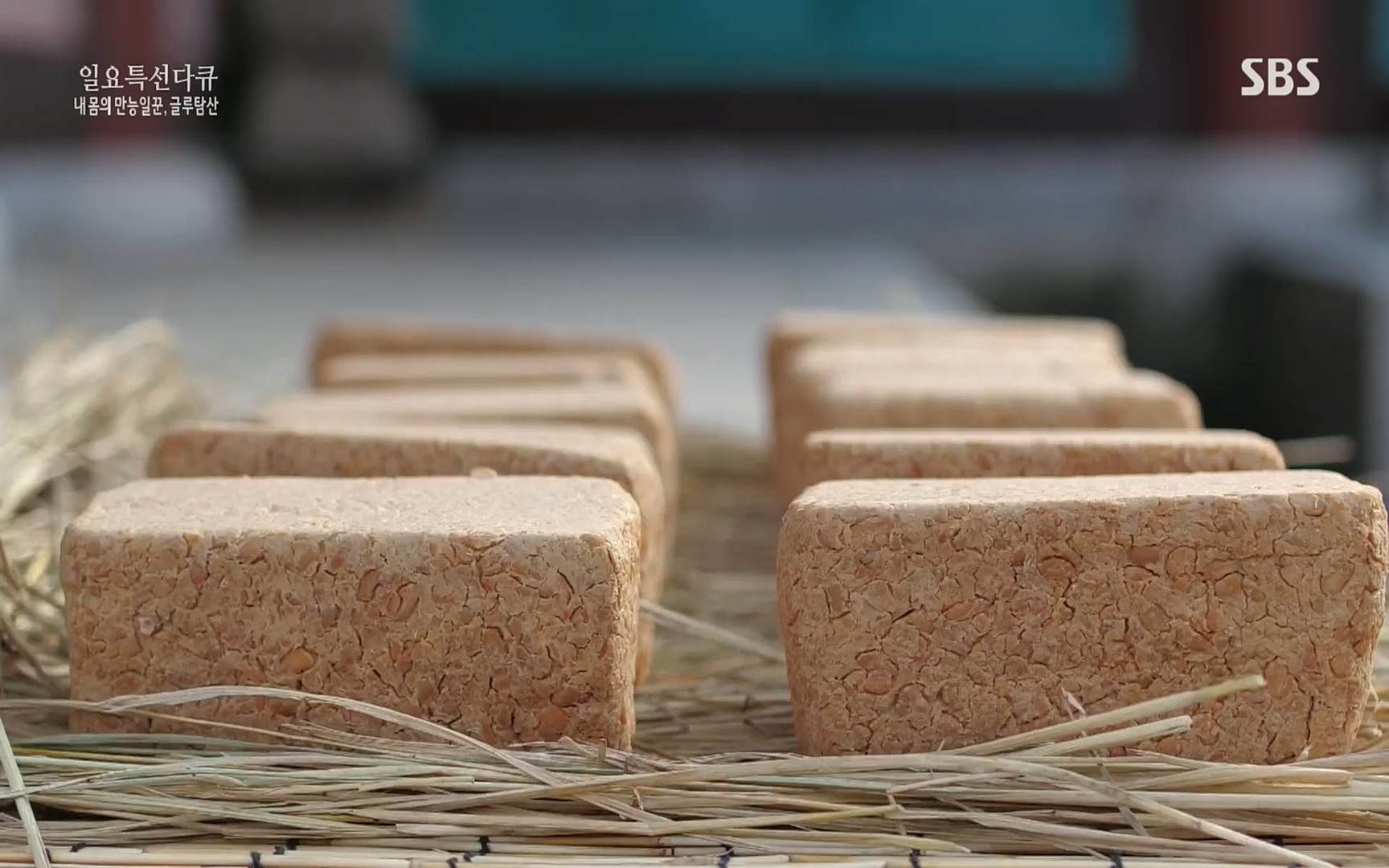 일요 특선 다큐멘터리.E283.220717p.H264-F1RST.mp4_20220718_202855.603.jpg