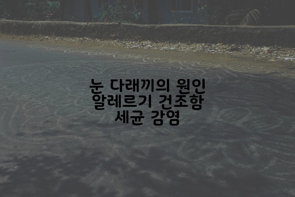 눈 다래끼의 원인 알레르기 건조함 세균 감염