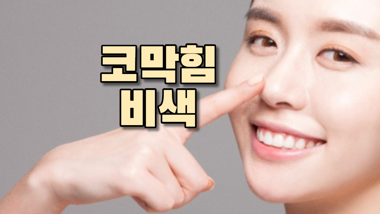  코막힘(비색)