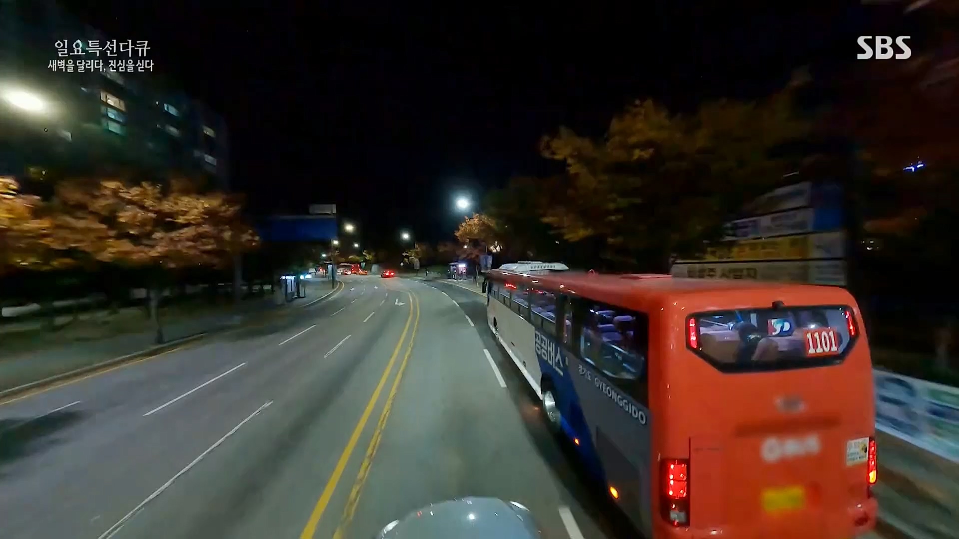 일요 특선 다큐멘터리.E294.221106p.H264-F1RST.mp4_20221204_163844.944.jpg