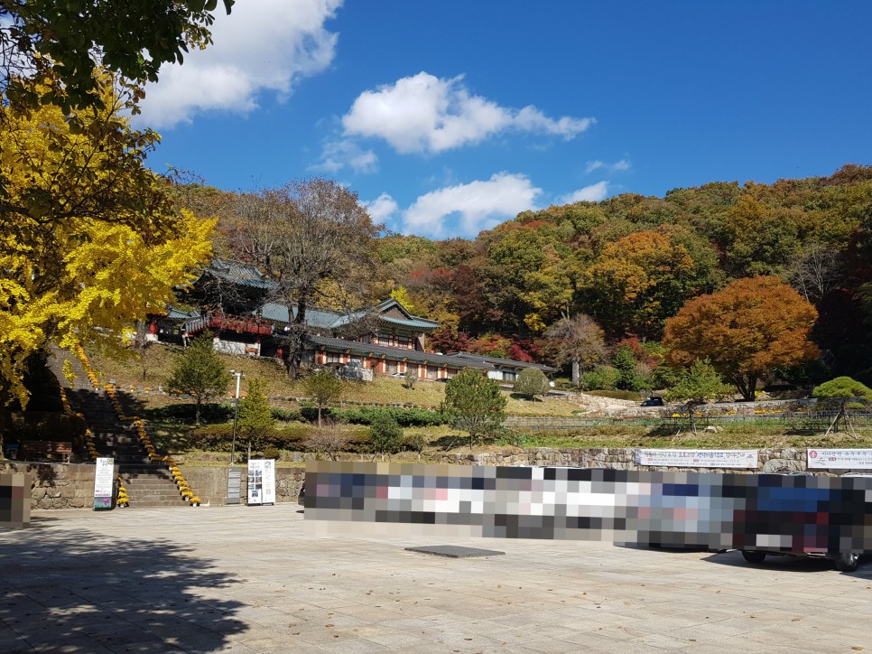 장소! 칠불사의 가을 풍경을 감상하세요:) 하동칠불사의 가을 멋진 자태를 품은 45