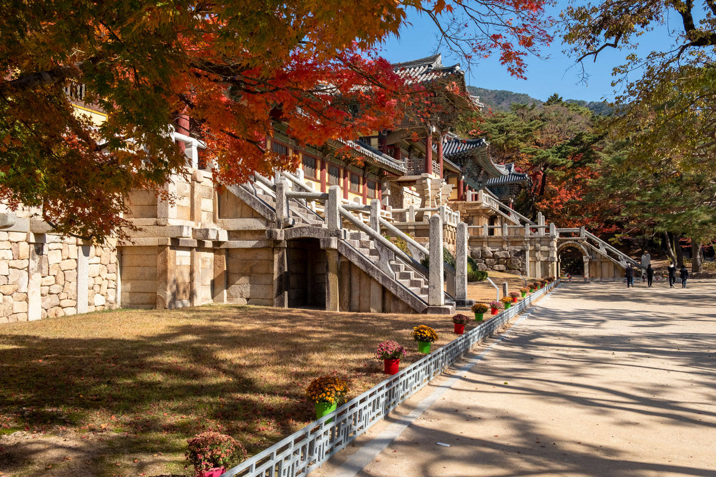  경주 불국사: 불교문화와 예술이 어우러진 역사의 보고, 교촌마을 11/12방문