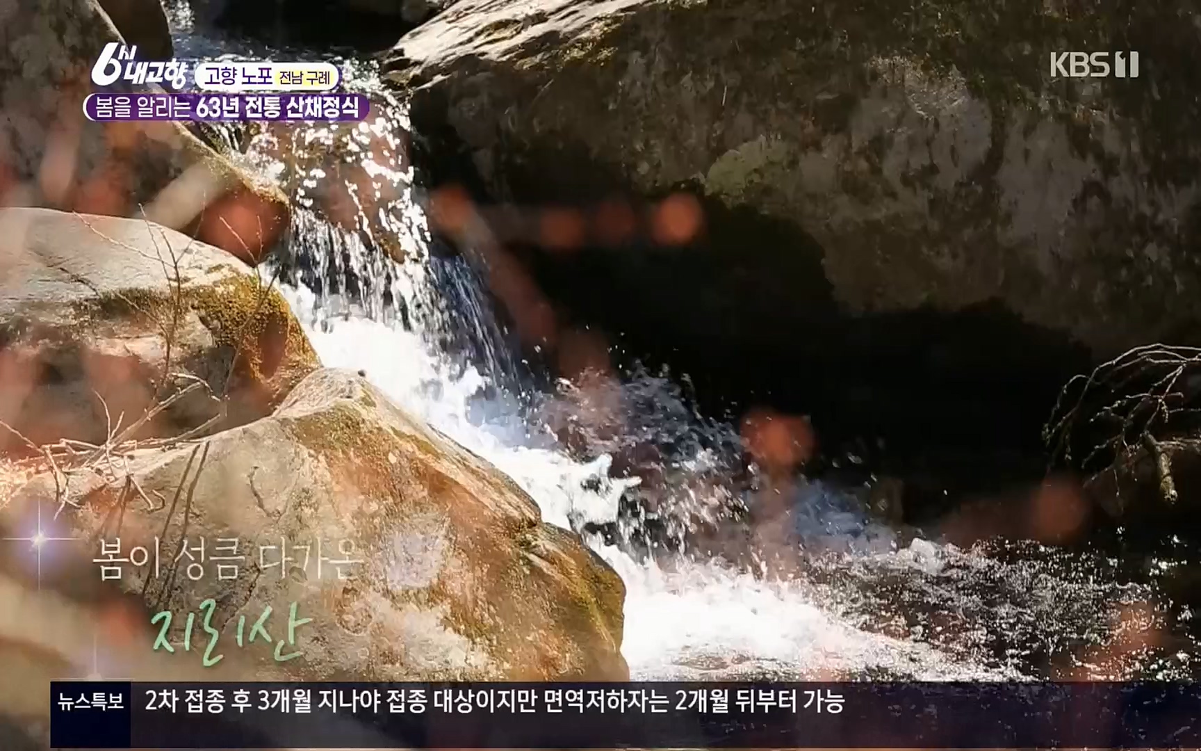 6시 내고향.E7494.220322p.H264-F1RST.mp4_20220326_182148.292.jpg