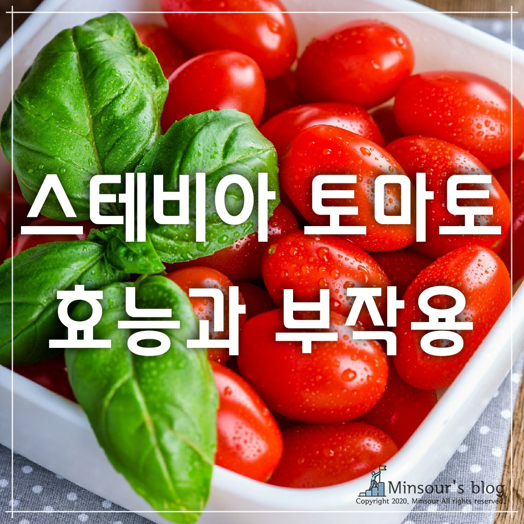  일명 토망고! 스테비아 방울 토마토 칼로리, 효능 그리고 부작용