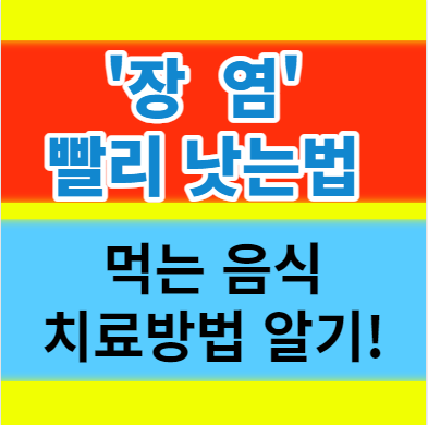  장염을 극복하는 방법 빨리 낫는법 먹어도 되는 음식 구분하기