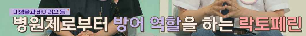락토페린 역할