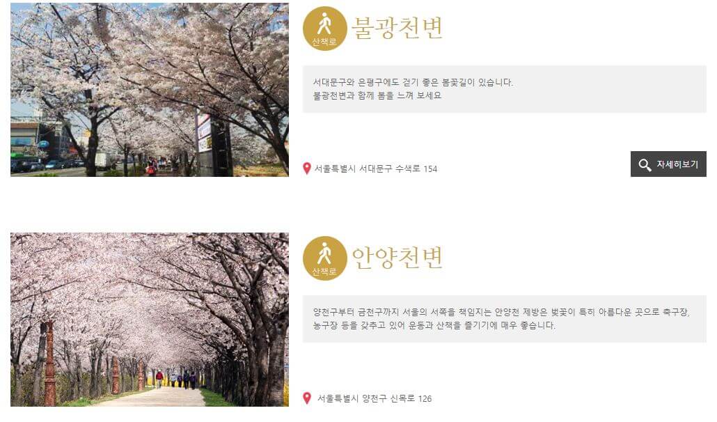 도시에서 즐기는 봄꽃 여행, 서울, 봄꽃으로 물들다. 서울 꽃길 소개