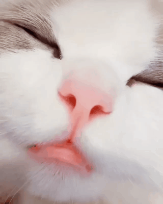   뚜뚜월드