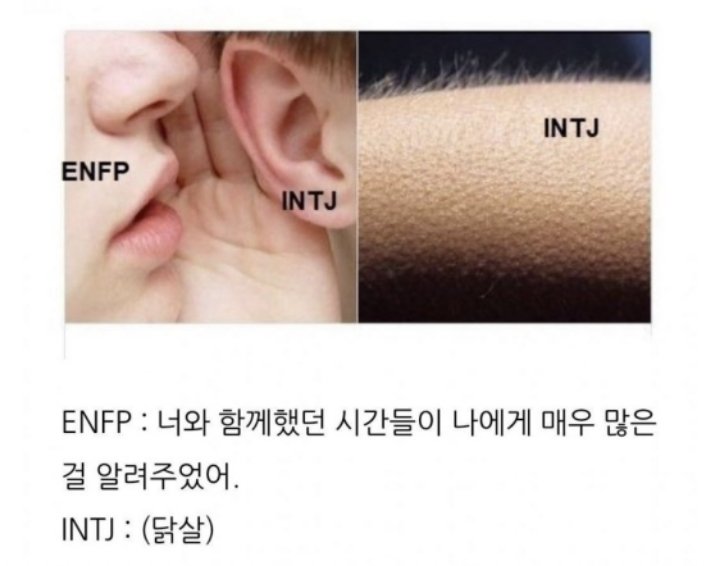  [밈] ENFP INTJ 밈