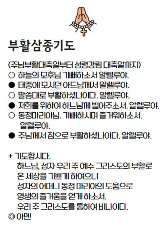 부활 삼종기도 일반 삼종기도 차이_14