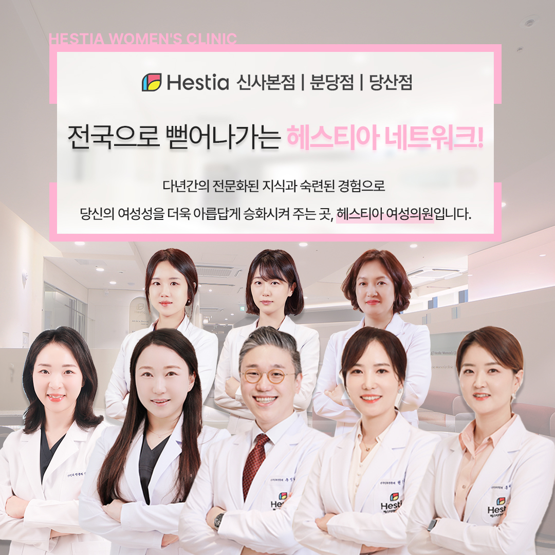 헤스티아 네트워크