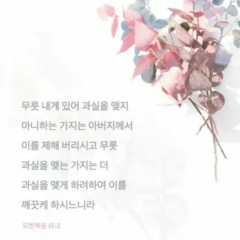 요한복음 20장 그리스도 성경 묵상_17