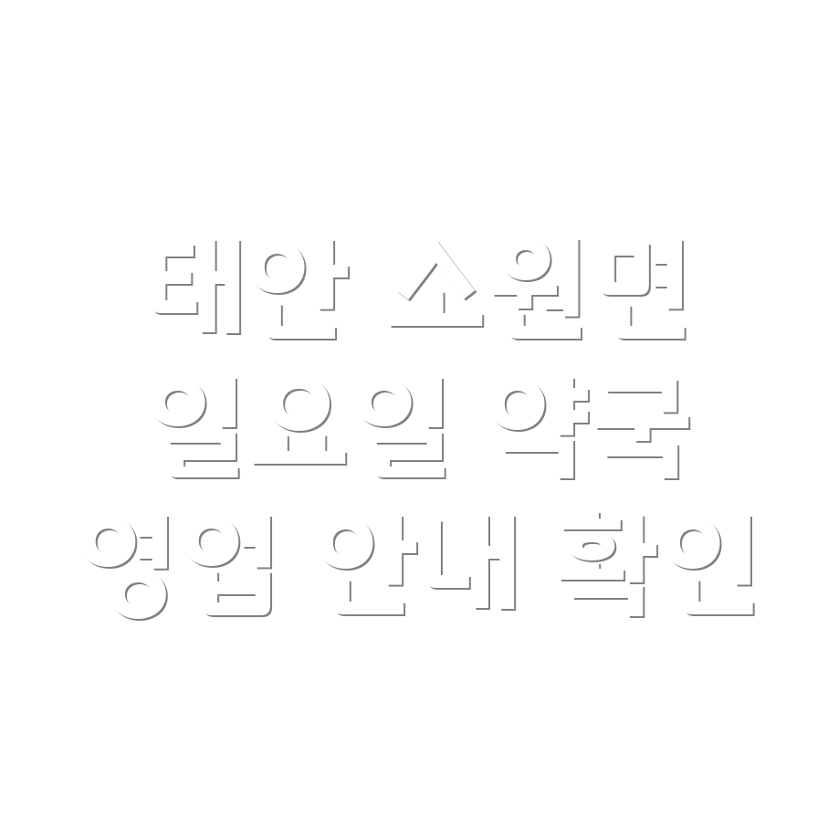 일요일 영업 약국