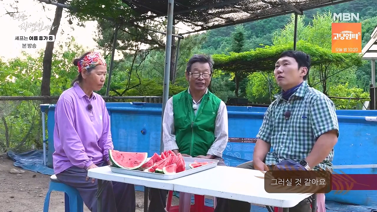 나는 자연인이다.E611.240627p-NEXT.mp4_20240627_195607.694.jpg