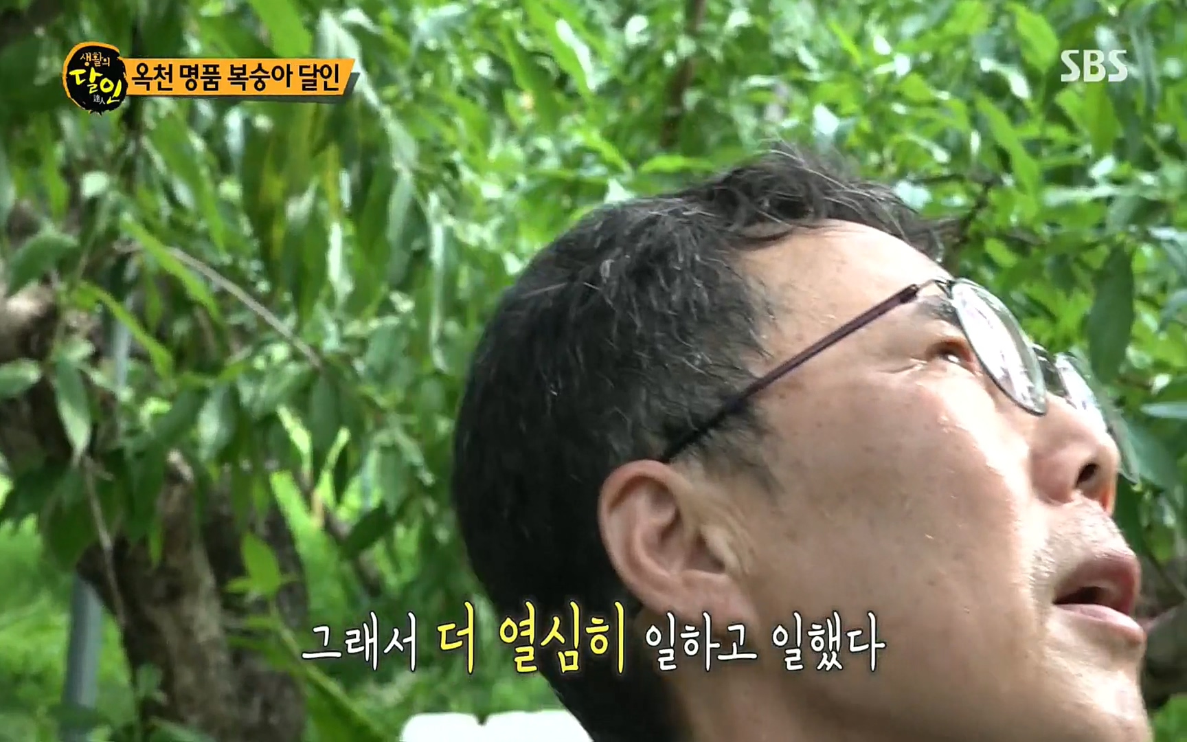 생활의 달인.E856.220815p.H264-F1RST.mp4_20220816_203617.820.jpg