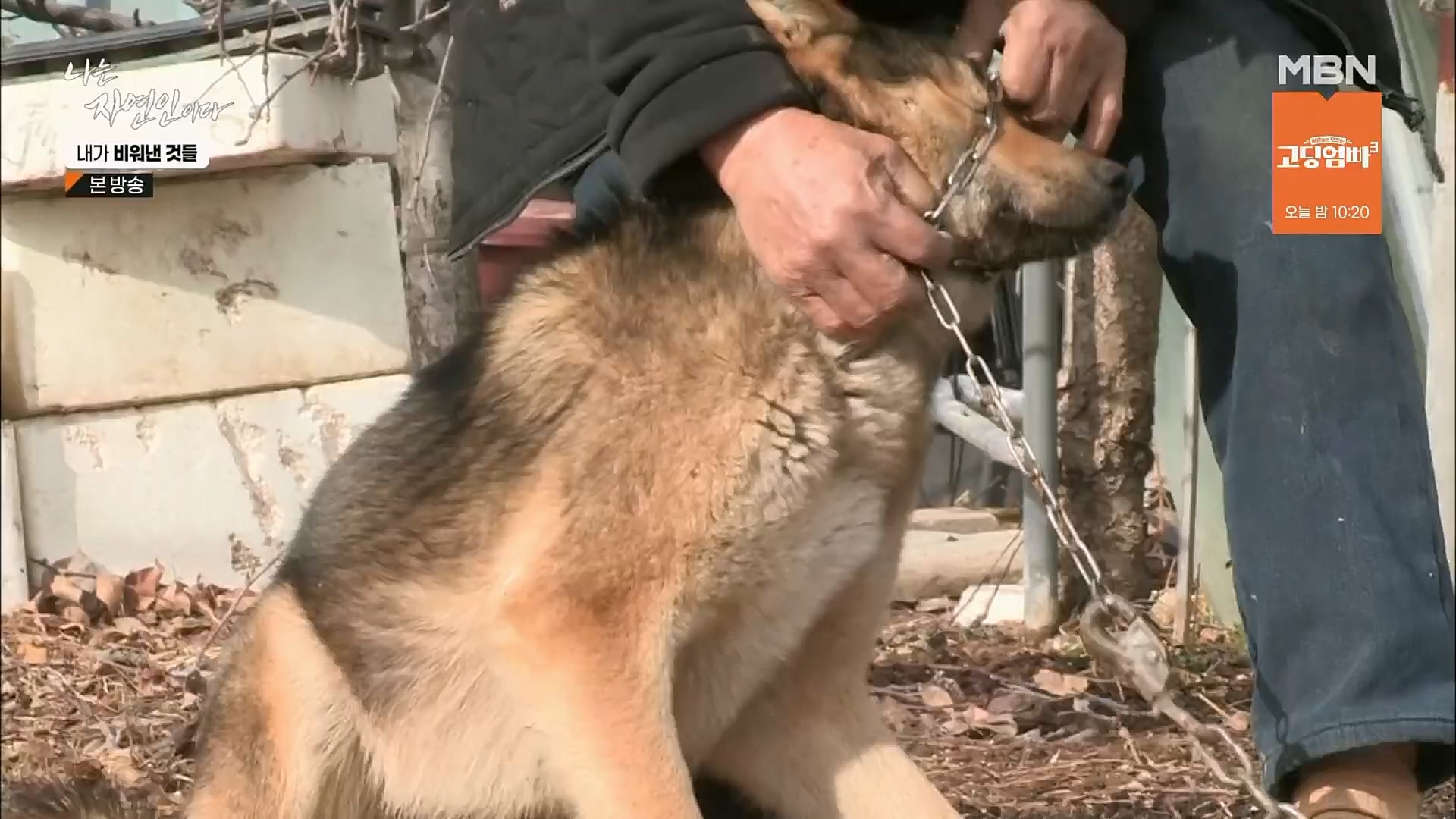 나는 자연인이다.E543.230301p.H264-F1RST.mp4_20230302_192655.526.jpg