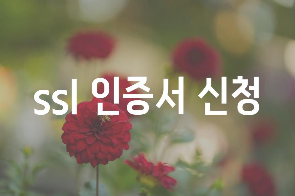 API 할당량 초과 오류 8