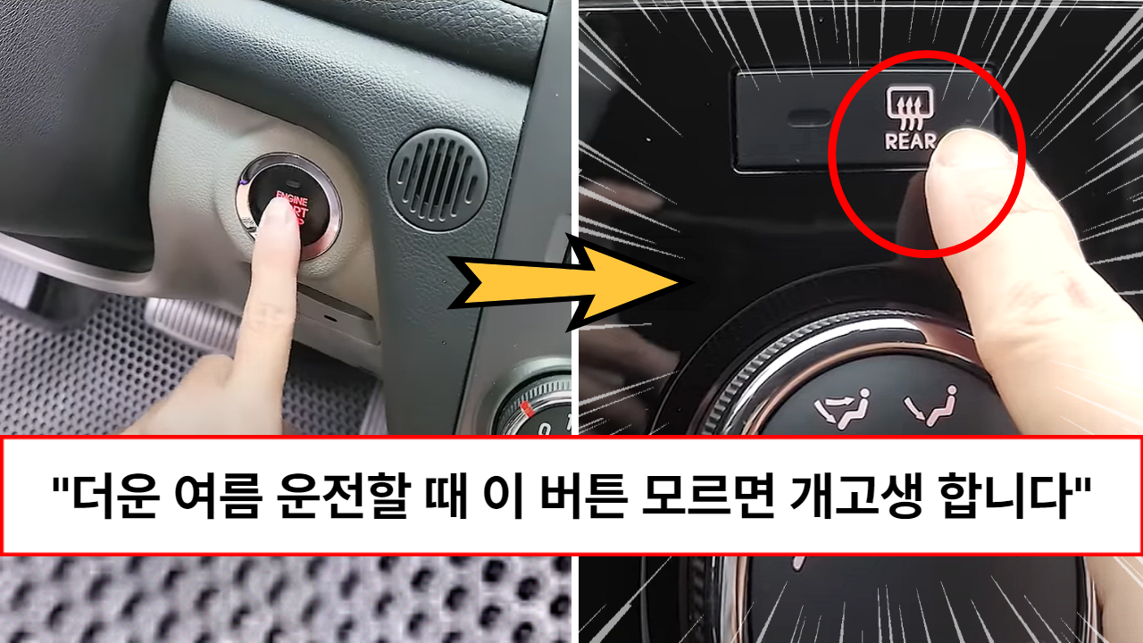 “제발 이 버튼을 눌러보세요” 10년 넘게 운전한 사람들도 모른다는 더운 여름철 자동차속 6가지 인생꿀팁