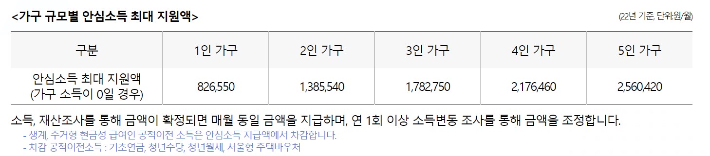 안심소득