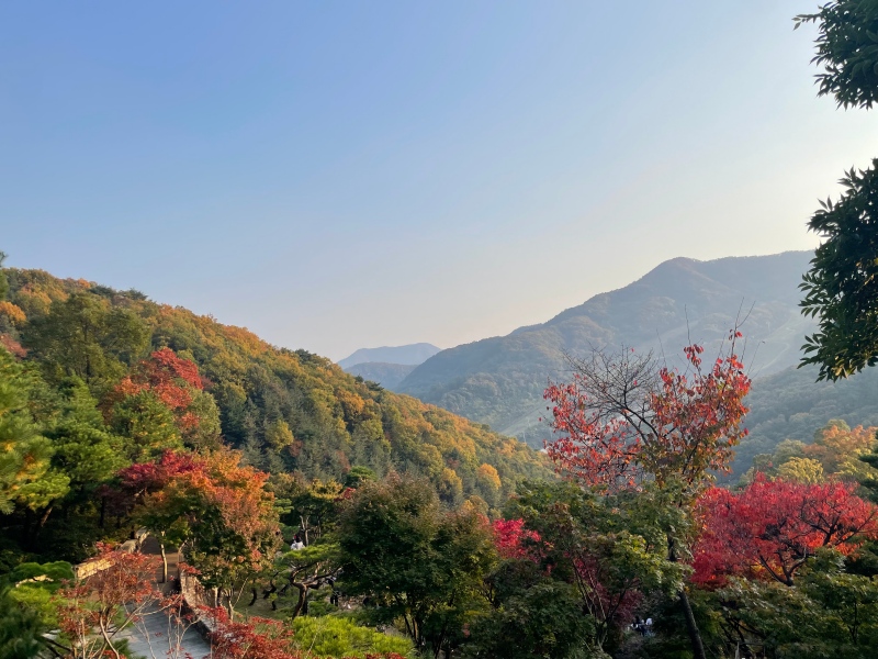 화담숲-사진